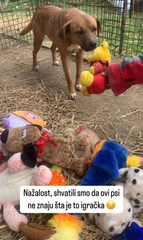 Screenshot 2025-01-12 171855.png