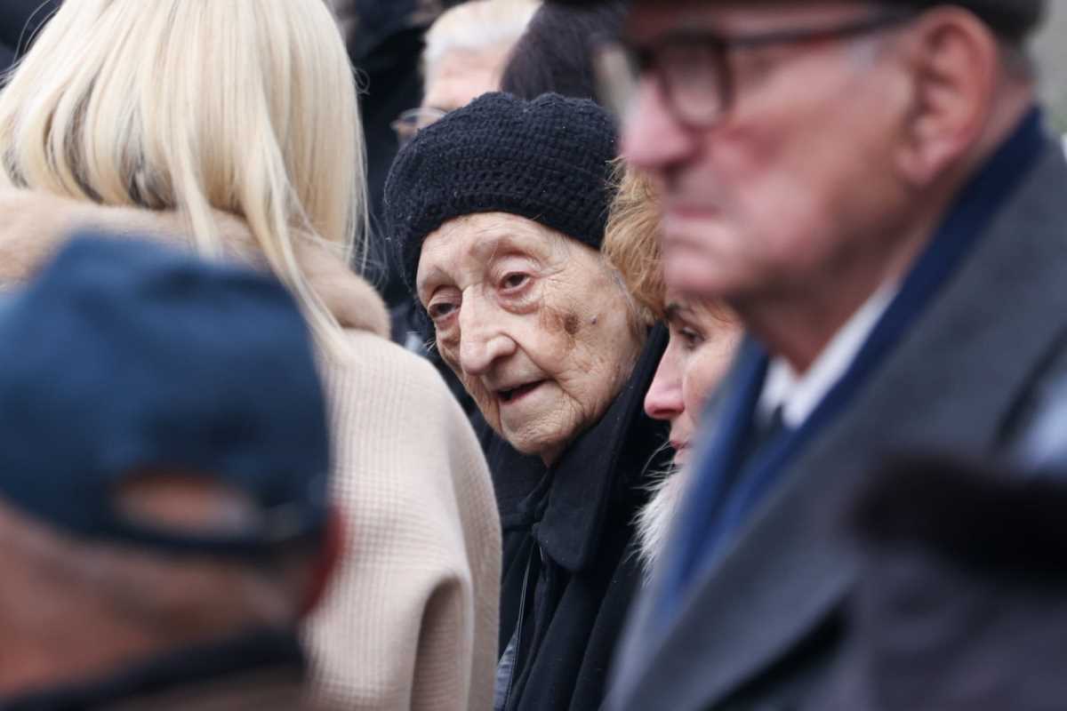 WhatsApp Image 2025-01-13 at 1.20.16 PM (1).jpeg