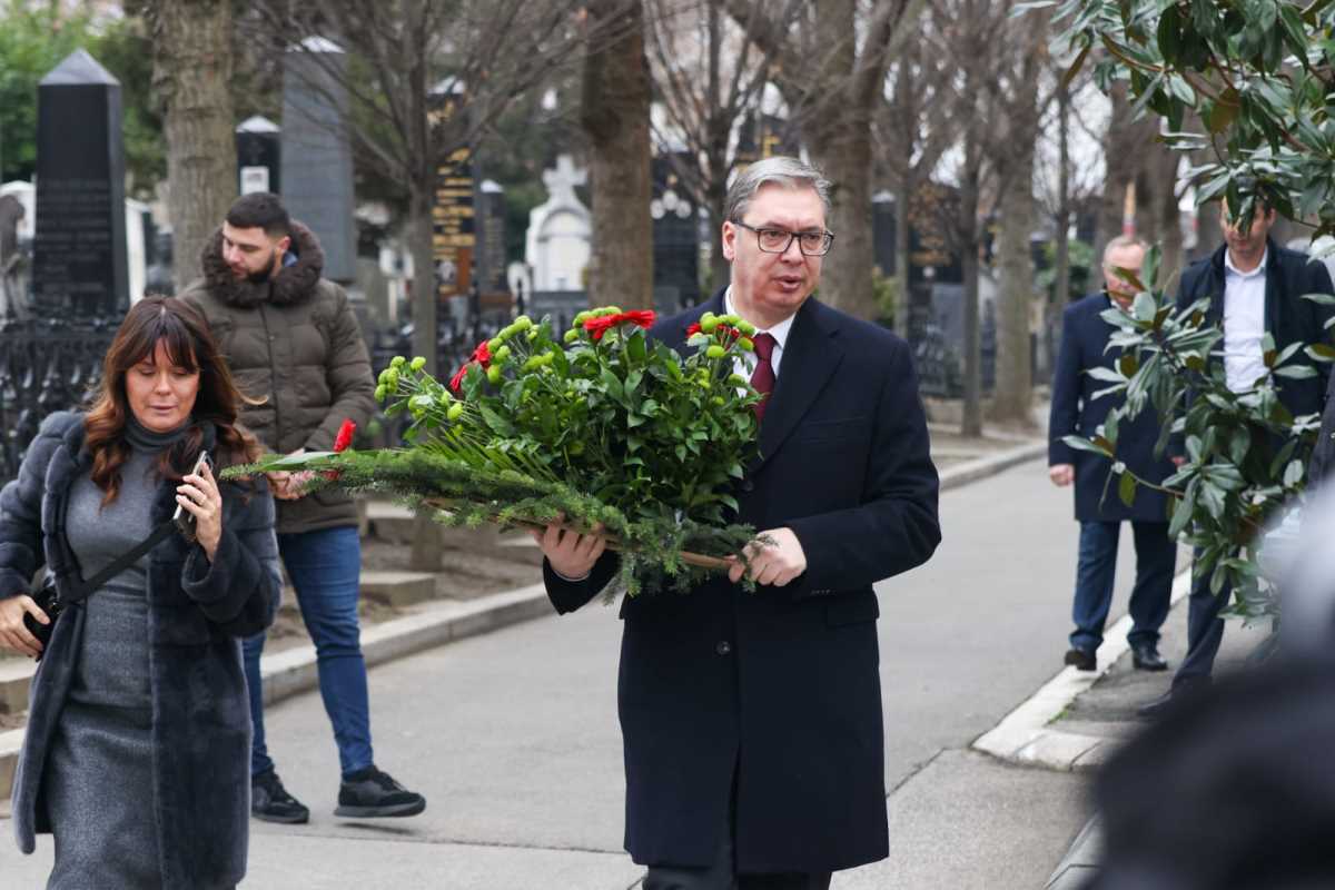 WhatsApp Image 2025-01-13 at 1.42.39 PM (1).jpeg