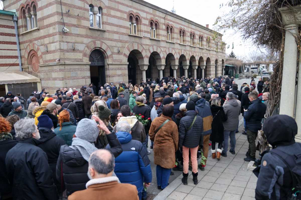 WhatsApp Image 2025-01-13 at 1.56.25 PM (2).jpeg