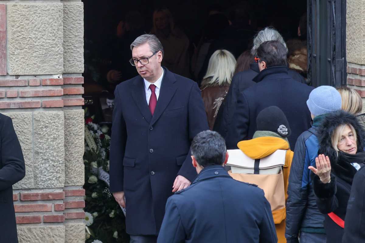 WhatsApp Image 2025-01-13 at 2.03.20 PM (1).jpeg