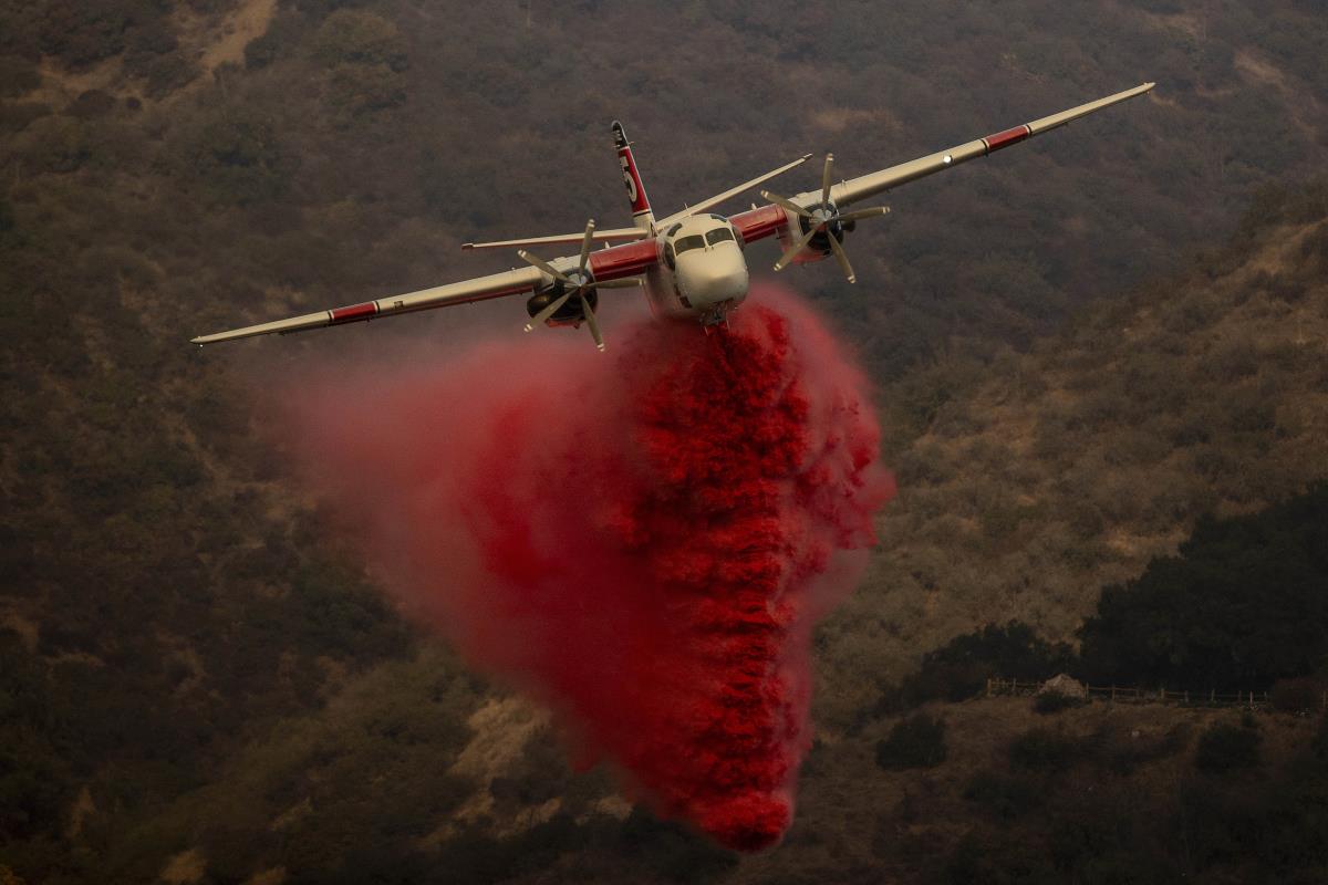 x AP Stephen Lam.jpg