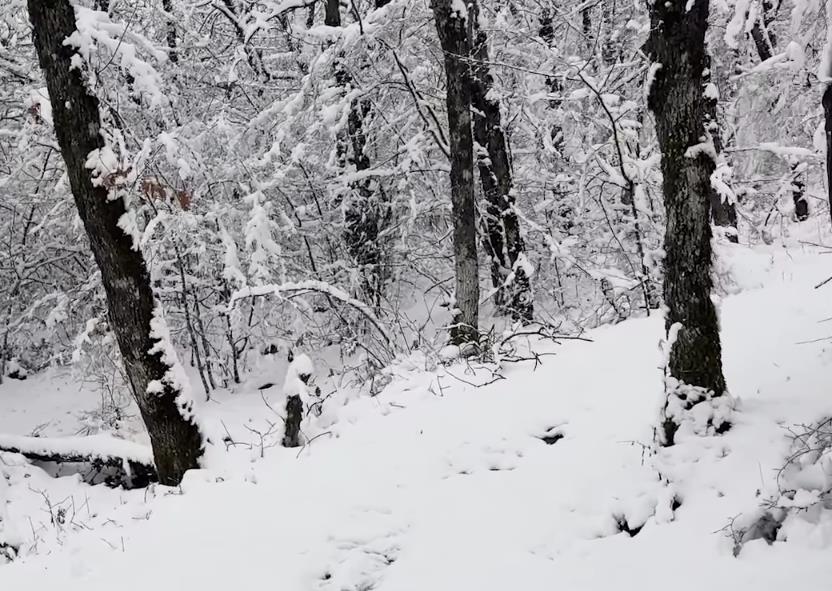 2025-01-15 08_10_42-Monasteries in Meteora, Greece, Covered in Snow. _ The monasteries in Meteora co.png