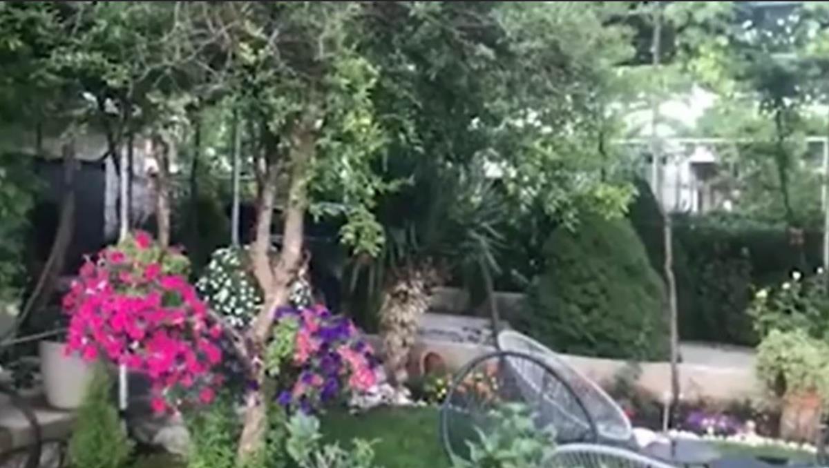 Nataša Ninković otkrila zašto je odbila karijeru u Holivudu