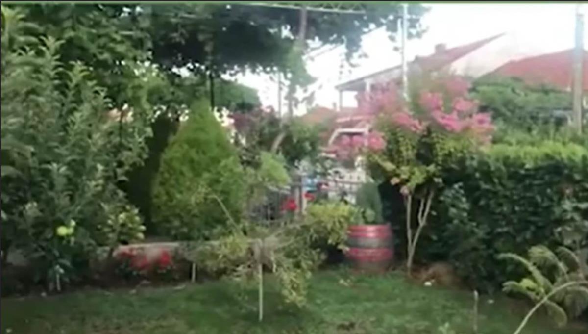 Nataša Ninković otkrila zašto je odbila karijeru u Holivudu