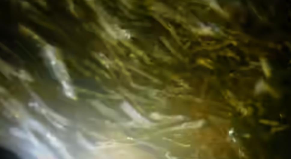 Dubina najopasnije reke Volf i njenog dela Bolton Strid 8.png