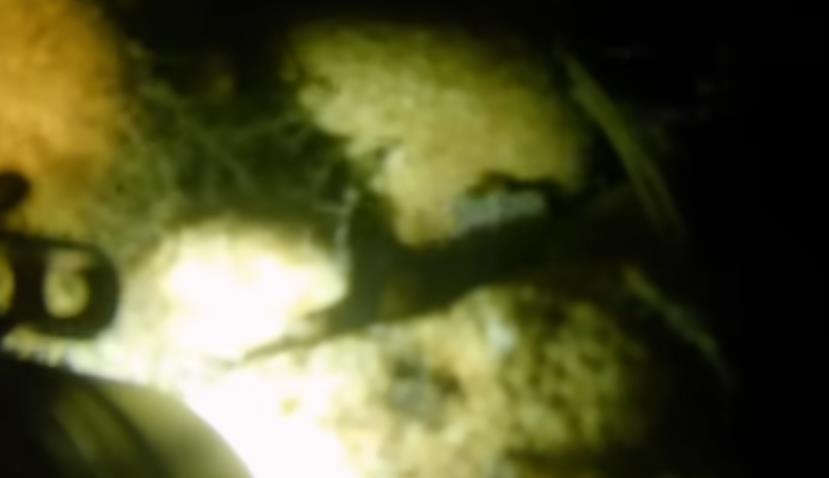 Dubina najopasnije reke Volf i njenog dela Bolton Strid 3.png