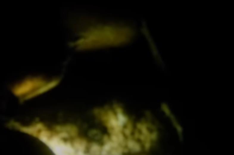 Dubina najopasnije reke Volf i njenog dela Bolton Strid 2.png