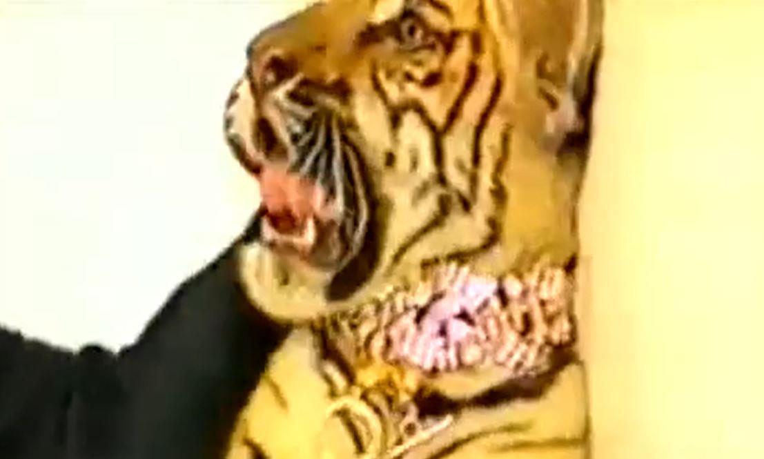 2025-01-15 13_35_43-(3) Ceca - Nije monotonija (spot) - YouTube.jpg