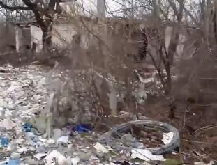 Screenshot 2025-01-15 141452.jpg