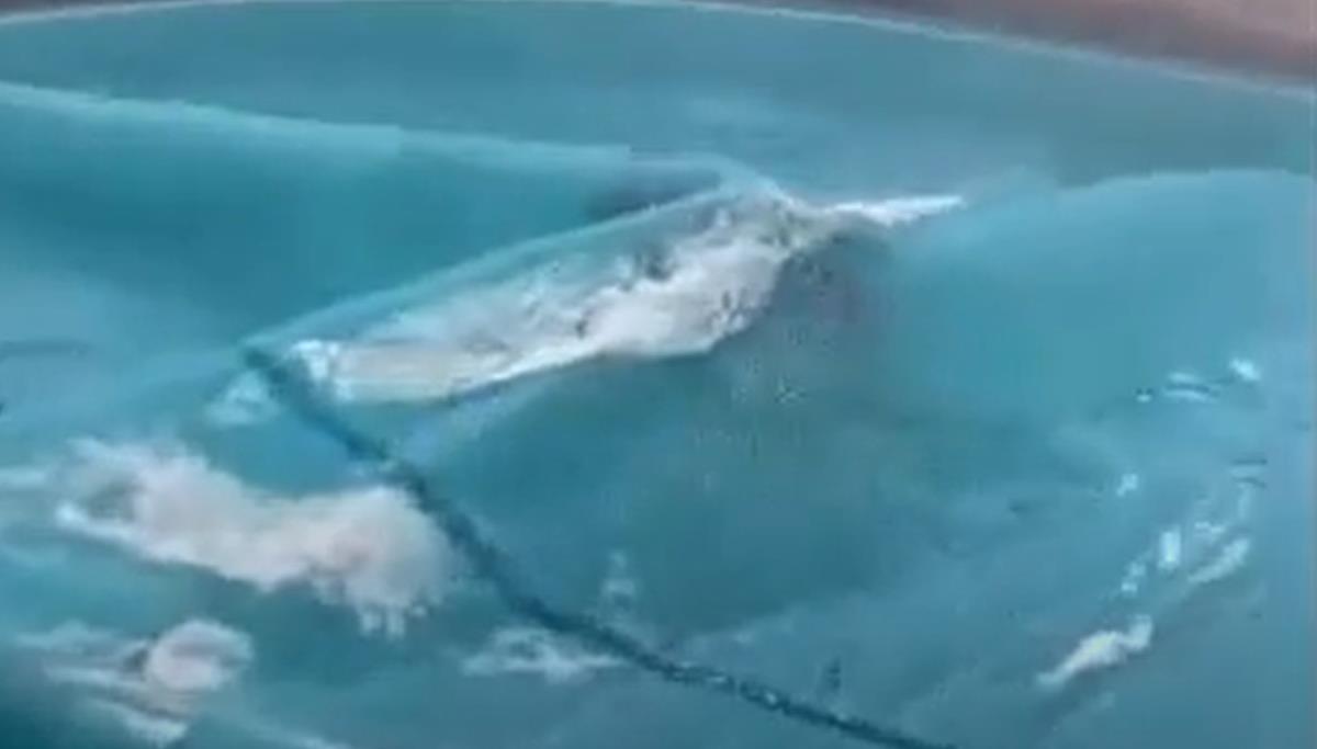 Screenshot 2025-01-15 212512.png