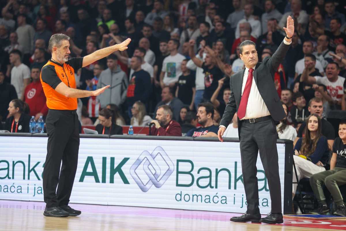 WhatsApp Image 2025-01-15 at 10.14.23 PM.jpeg