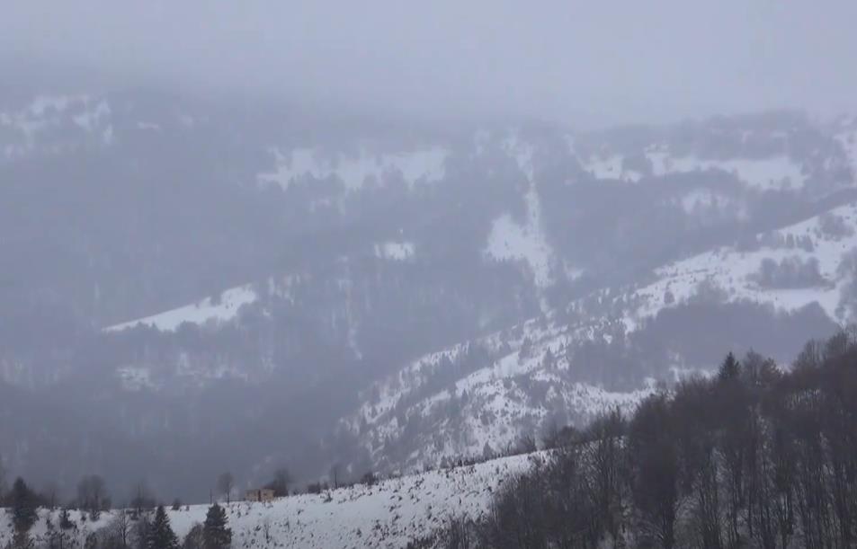 Screenshot 2025-01-15 224856.png