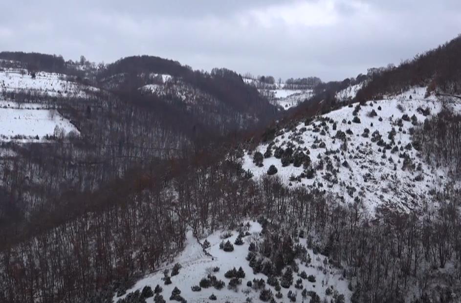 Screenshot 2025-01-15 224911.png