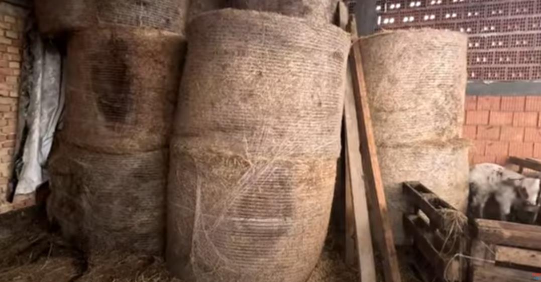 Jovana Parmaković ima veliko porodično gazdinstvo 5.png