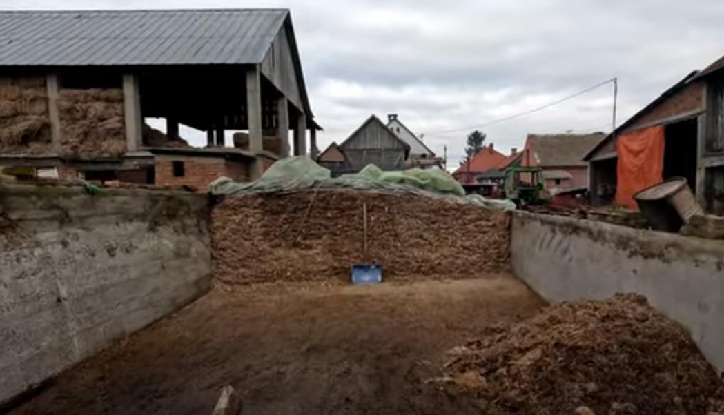 Jovana Parmaković ima veliko porodično gazdinstvo 4.png