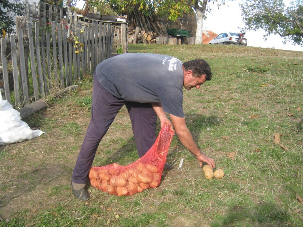 kursumlija-krompir-krompirdzija.jpg