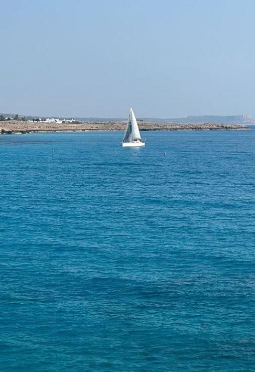 2025-01-17 08_05_41-Adam Adaktar®️ THE GOD OF EYEBROWS (@adaktar_official) • Фотографије и видео зап.jpg