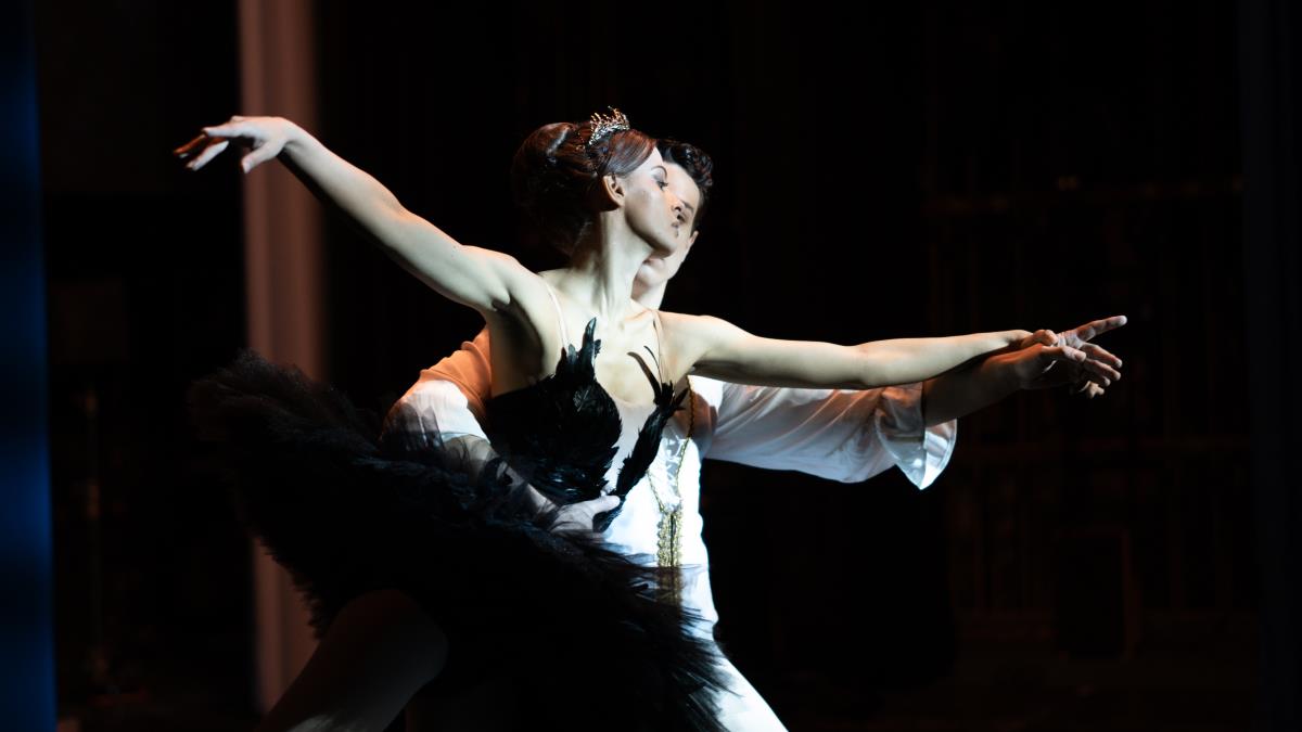 Dragan Vesić, serija Ringišpil