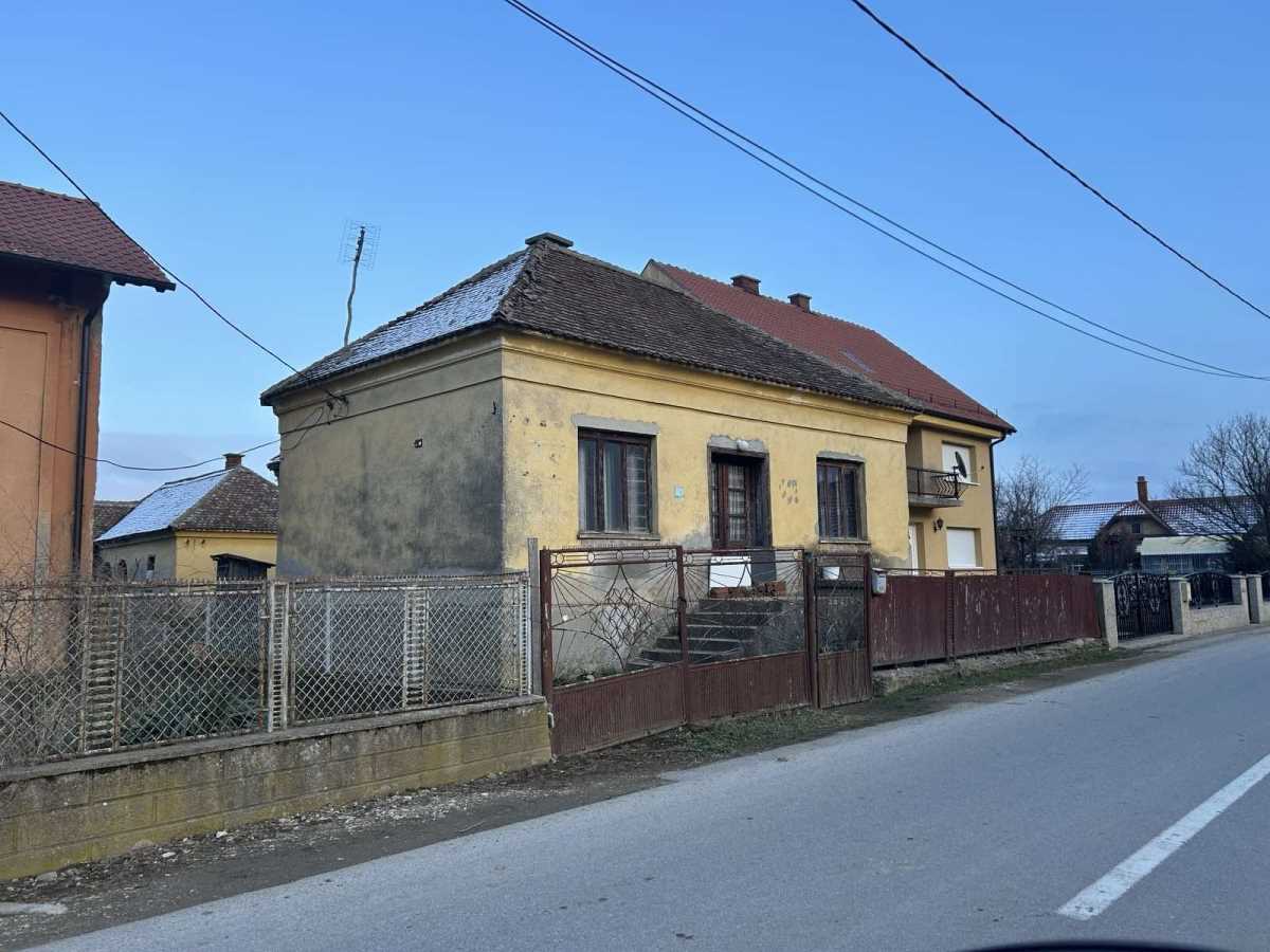 WhatsApp Image 2025-01-17 at 11.51.50_894ddbe6.jpg