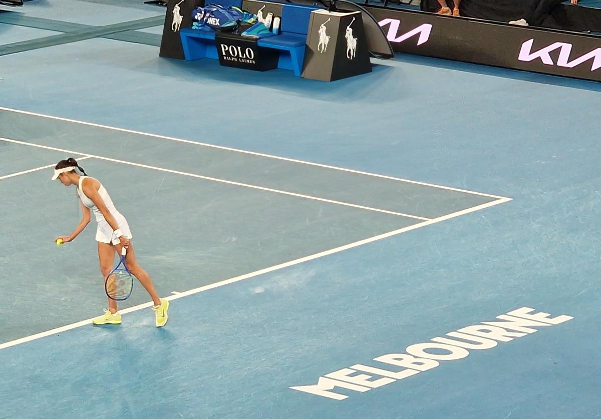 WhatsApp Image 2025-01-17 at 12.08.02 PM.jpeg