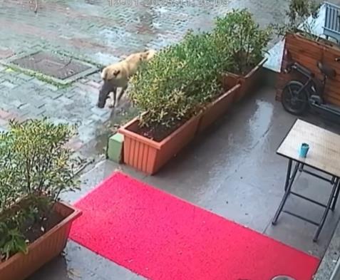 Screenshot 2025-01-18 161405.jpg