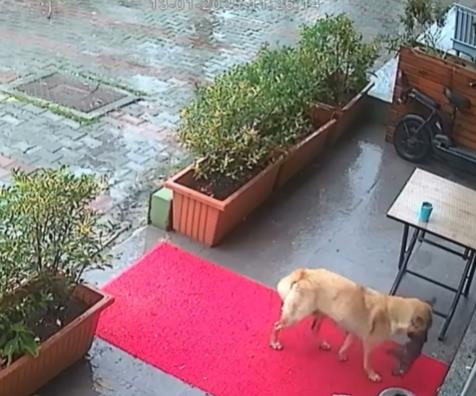 Screenshot 2025-01-18 161419.png