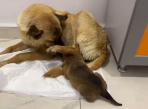 Screenshot 2025-01-18 161520.png