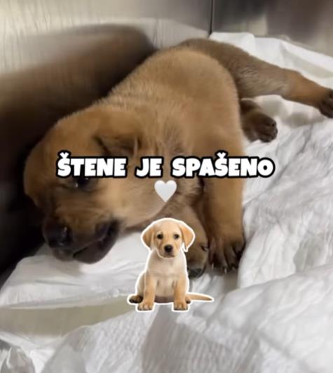 Screenshot 2025-01-18 161514.png