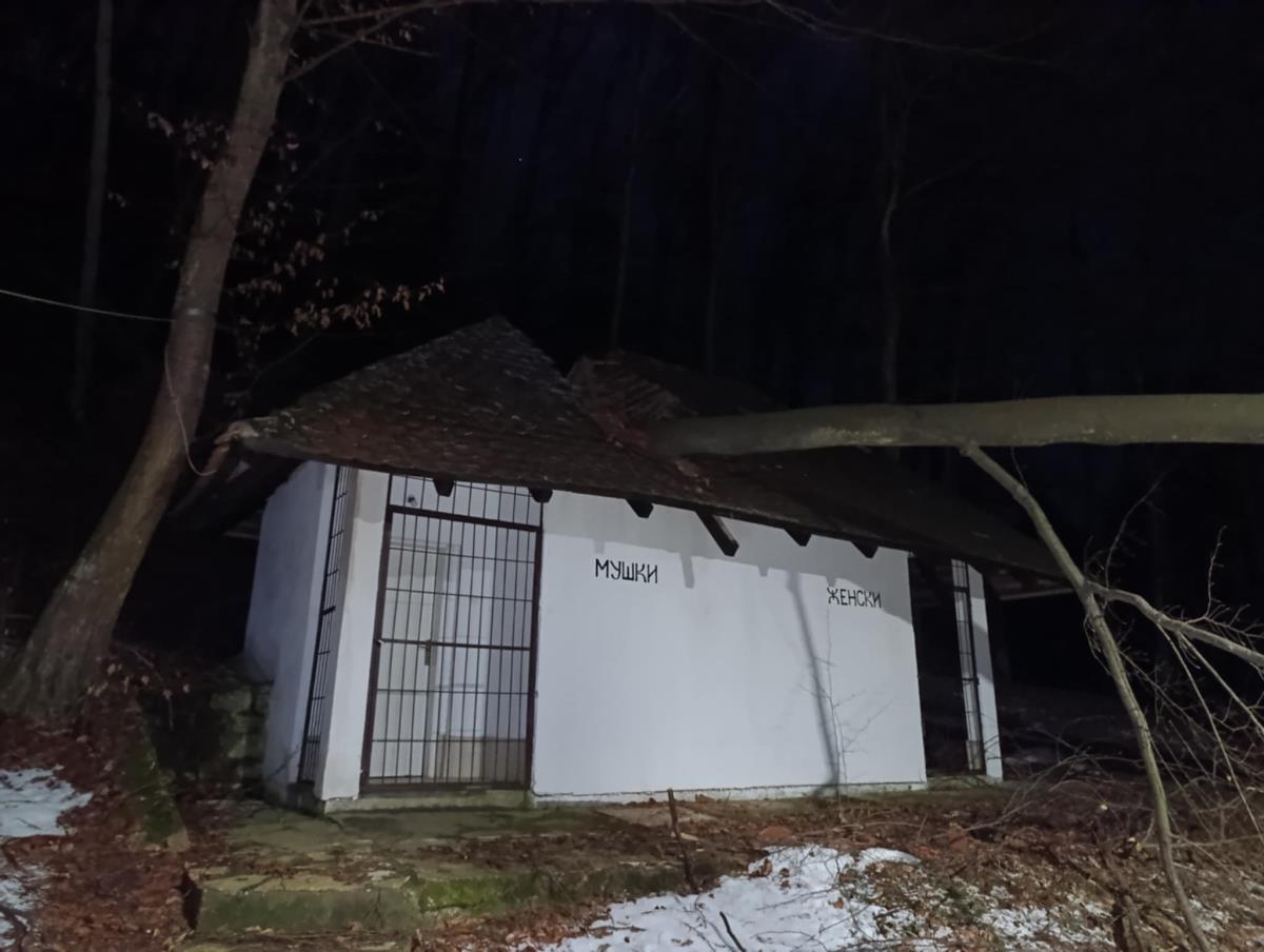 TRŠIĆ - Po sred krova.jpg