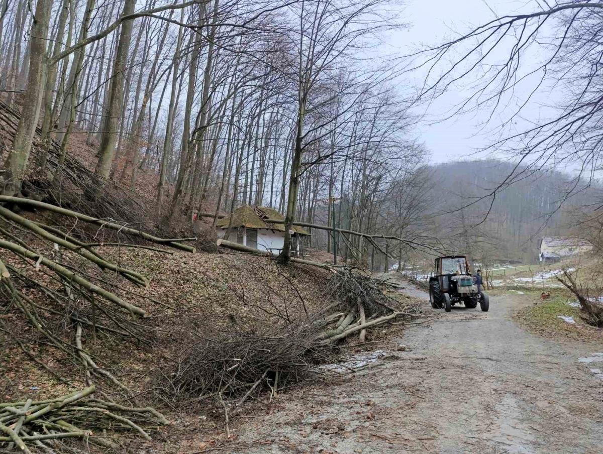 TRŠIĆ - Javni toalet.jpg