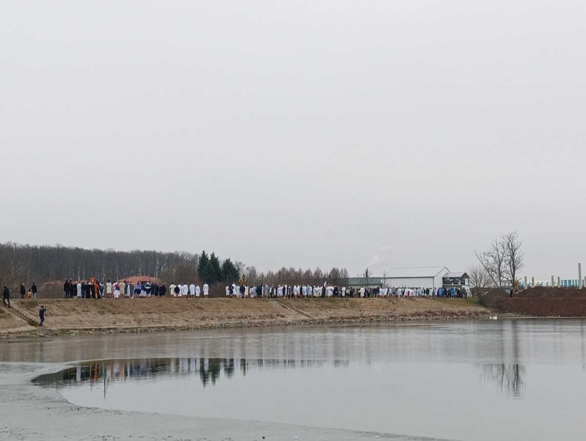 WhatsApp Image 2025-01-19 at 12.02.13_97801c01.jpg