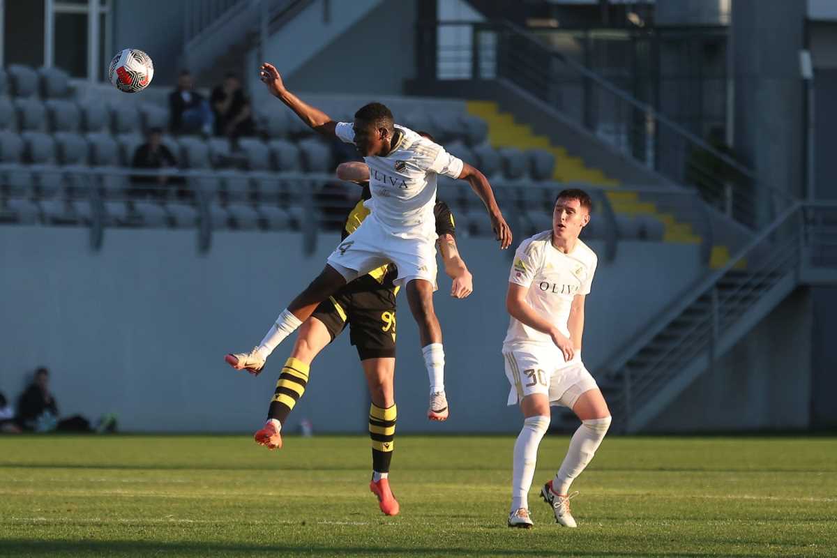 WhatsApp slika 2025-01-19 u 17.15.18_681be316.jpg