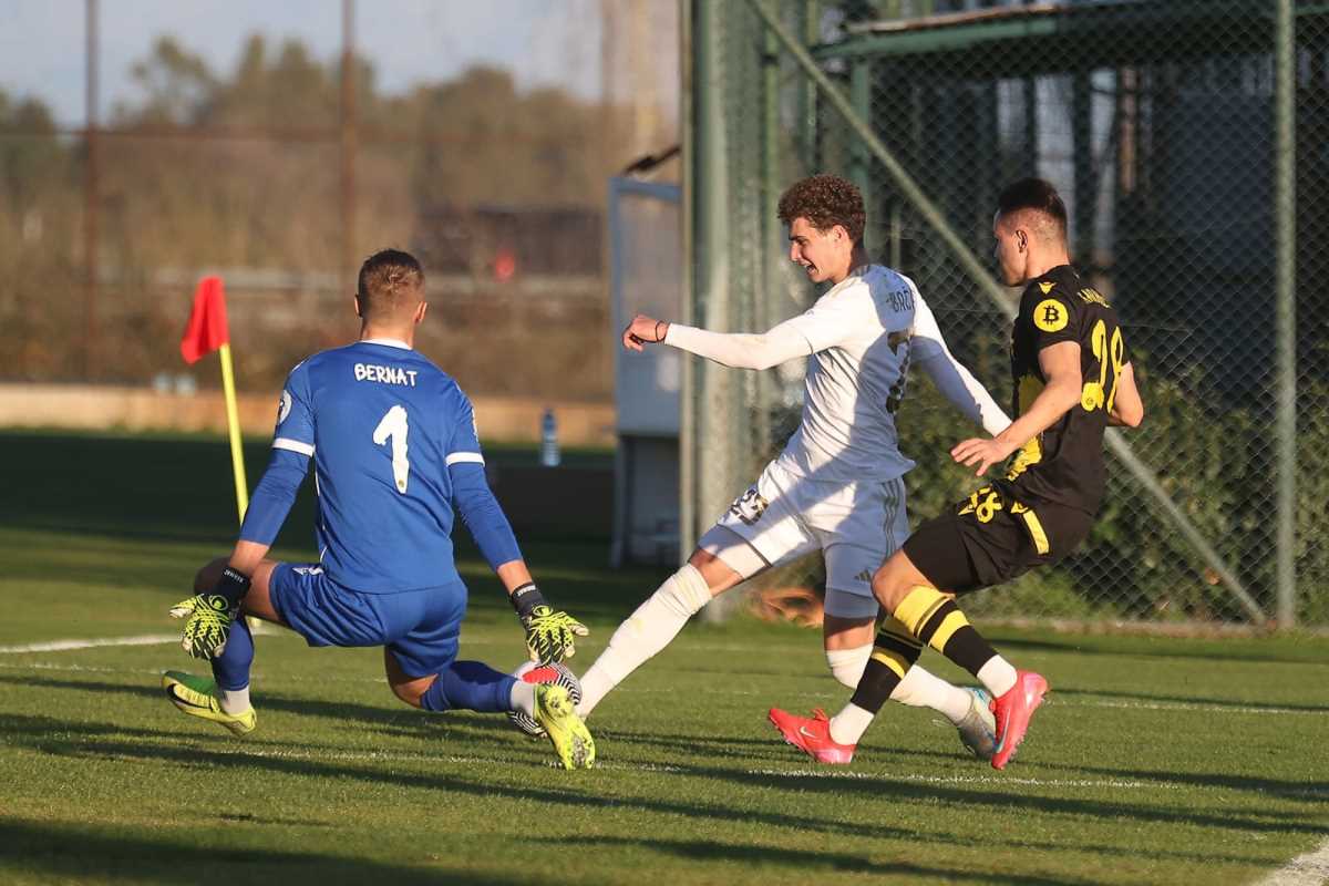 WhatsApp slika 2025-01-19 u 17.15.19_aa566ee0.jpg