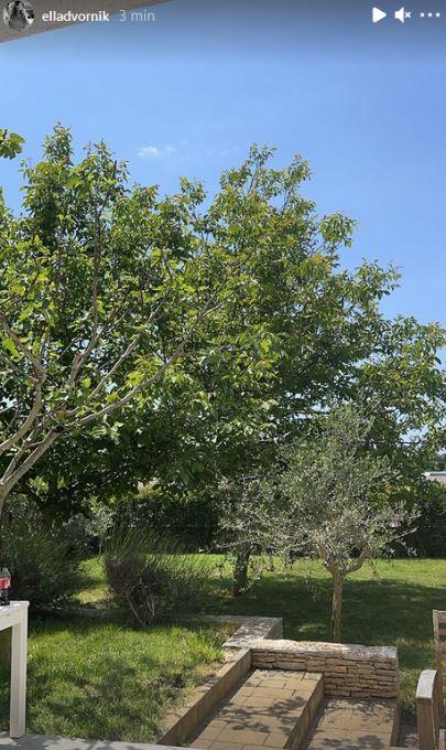 2025-01-20 11_20_17-Charles Pearce je tužio Ellu Dvornik i uzeo joj dio kuće _ Story.jpg