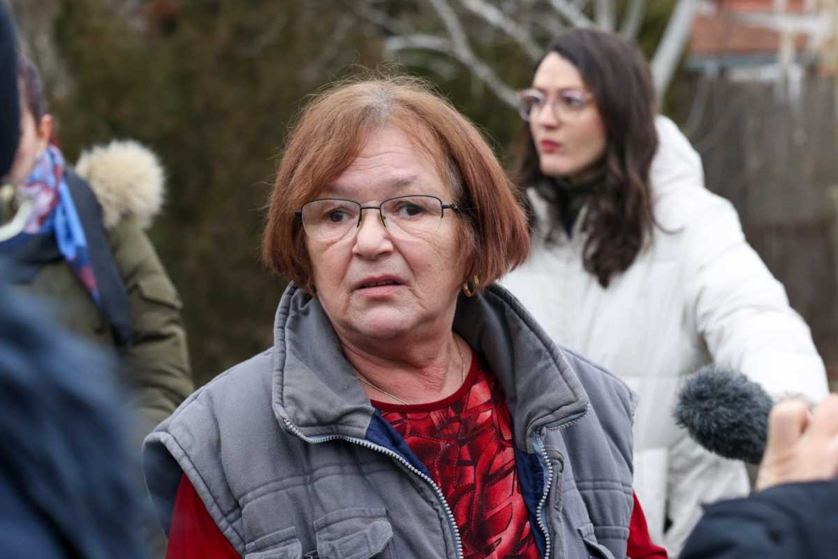 WhatsApp Image 2025-01-20 at 11.34.29 AM.jpeg