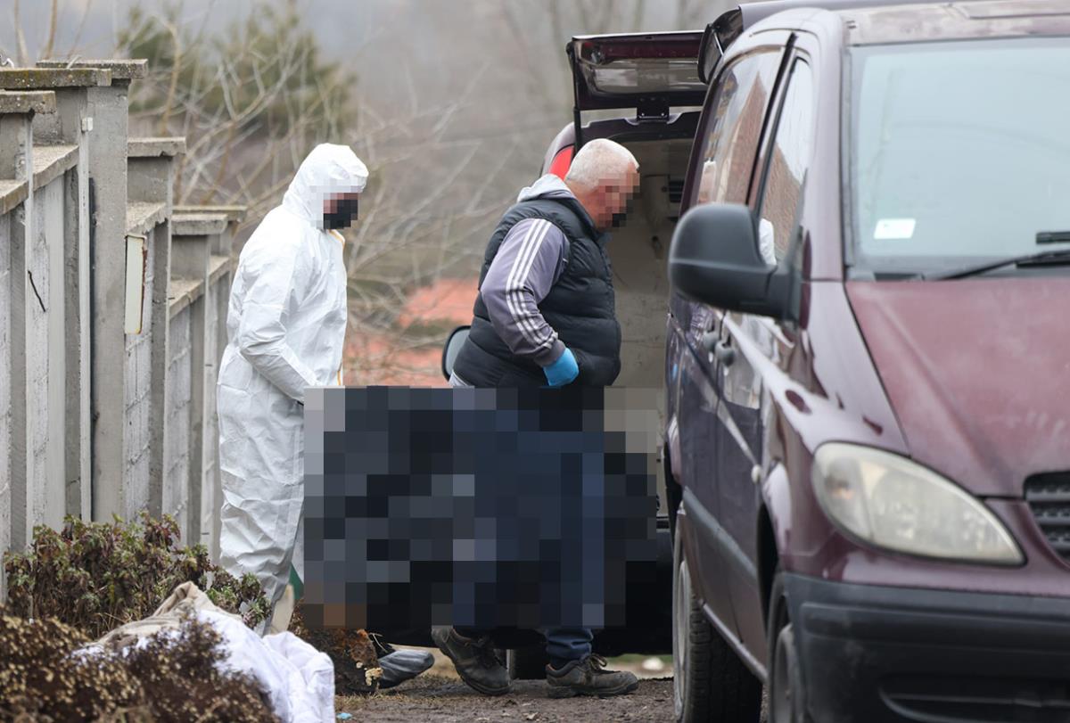 ce0fbff4-e9a7-42d7-a28d-b54f9df013f2 copy.jpg