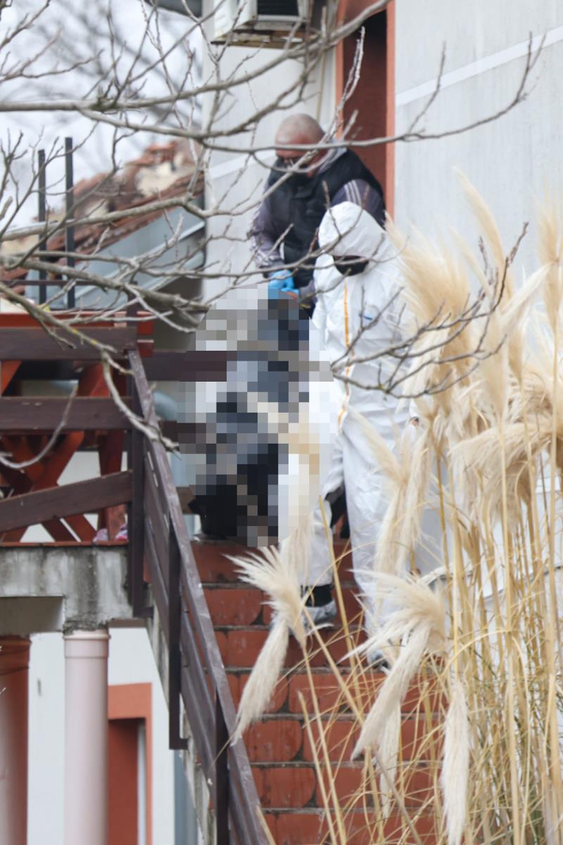 WhatsApp Image 2025-01-20 at 12.19.02_6539b998.jpg