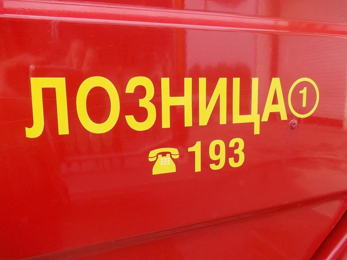 LOZNICA - Mnogo posla.jpg