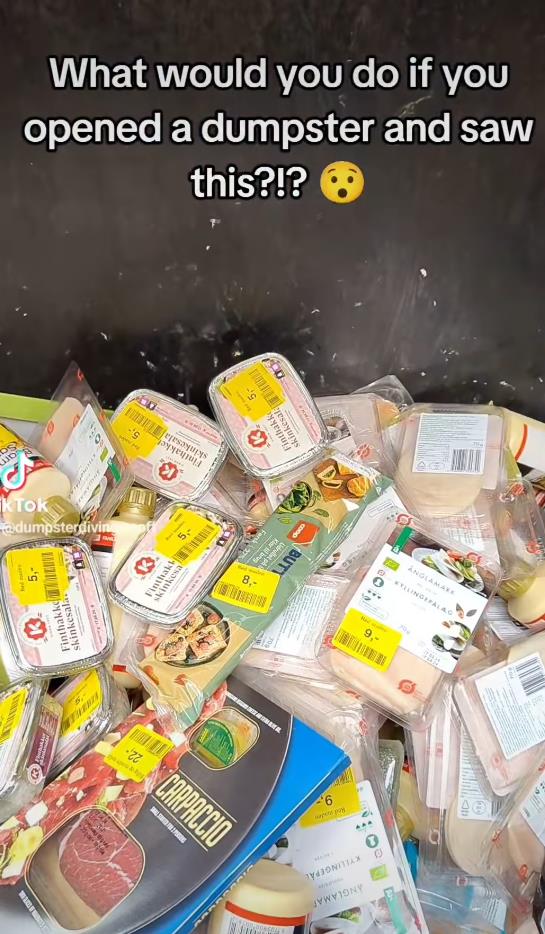 Sofi Đuel-Anderson se hrani u kontejeneru frižidr (3).jpg