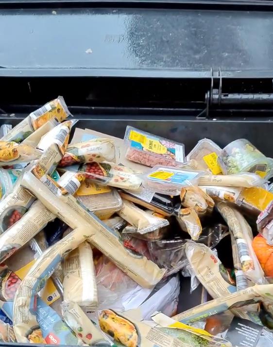 Sofi Đuel-Anderson se hrani u kontejeneru frižidr (5).png