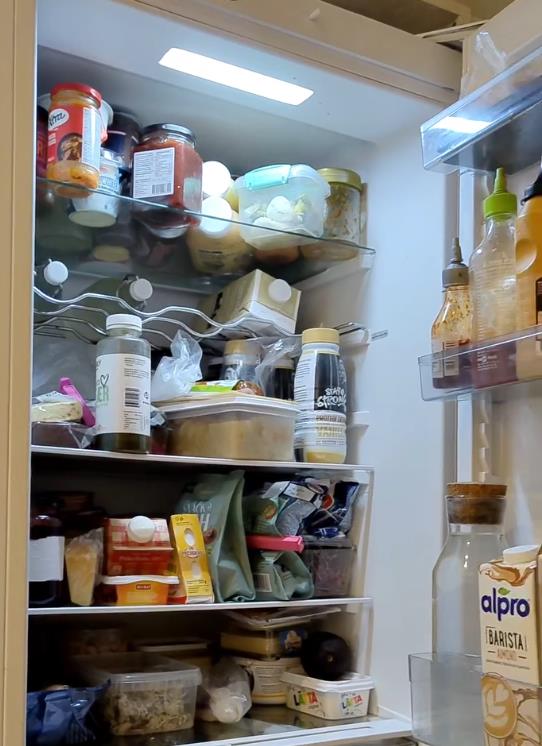 Sofi Đuel-Anderson se hrani u kontejeneru frižidr (7).png