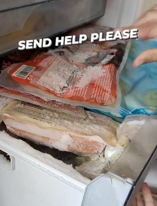 Sofi Đuel-Anderson se hrani u kontejeneru frižidr (1).png