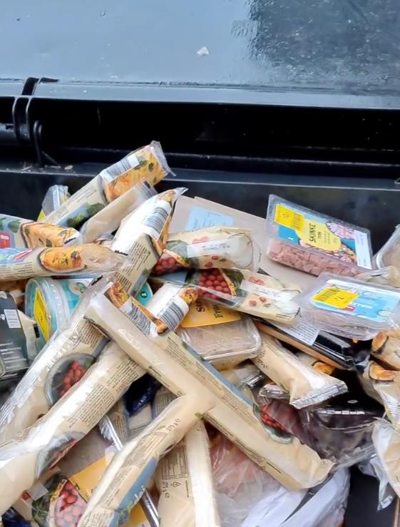 Sofi Đuel-Anderson se hrani u kontejeneru frižidr (2).png