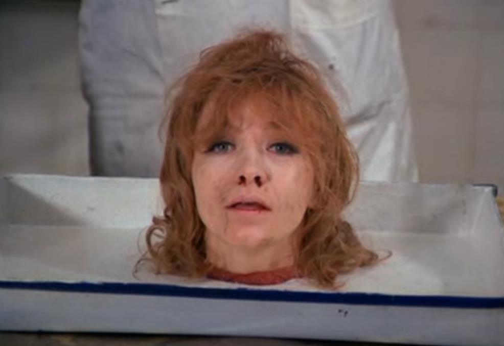 Misterije organizma (1973), režija Dušan Makavejev.png