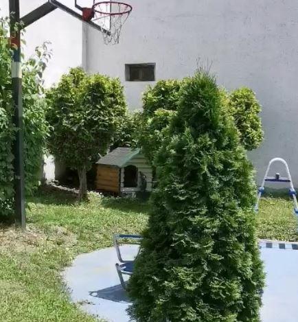 2025-01-25 08_03_00-U ovakvom luksuzu uživa Stefan Karić _ Kurir.jpg