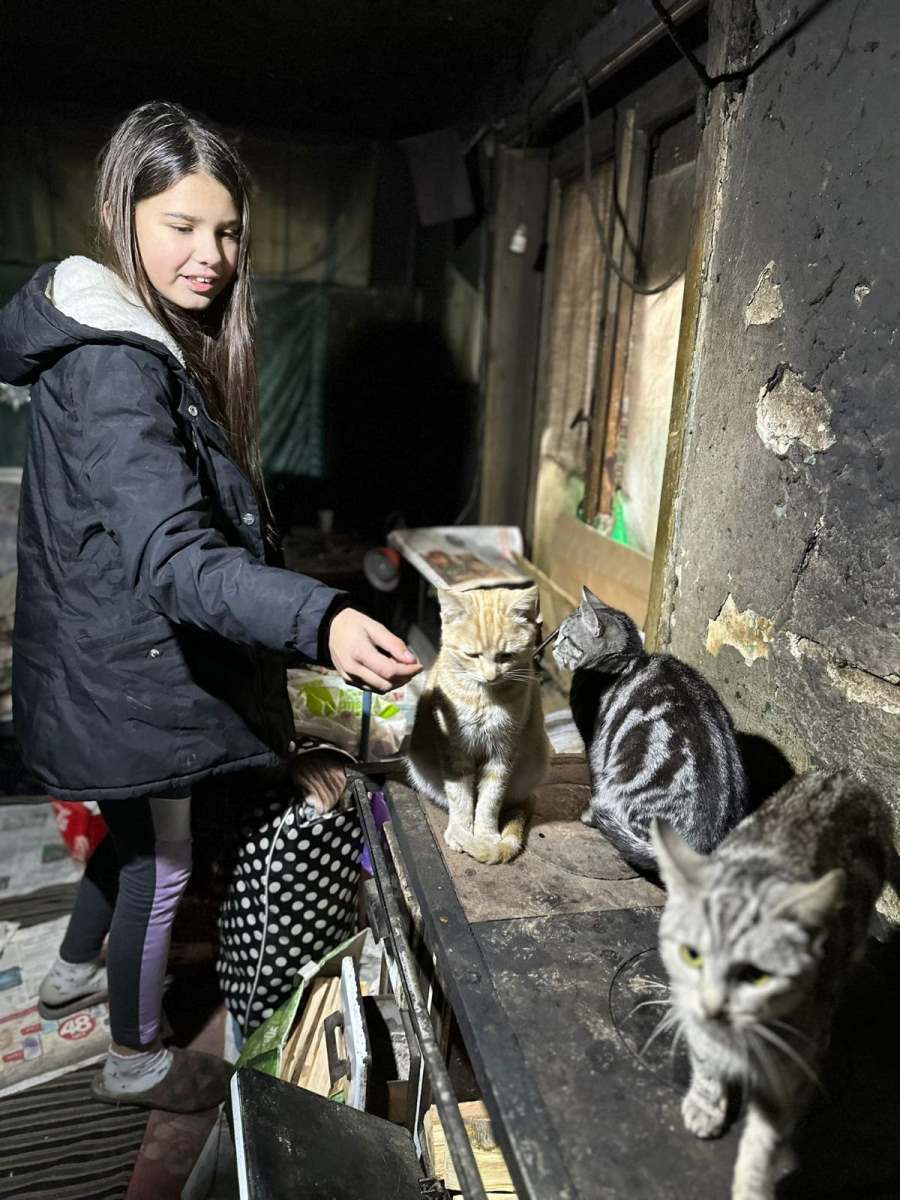 0801 foto marko nikolic (4).jpg