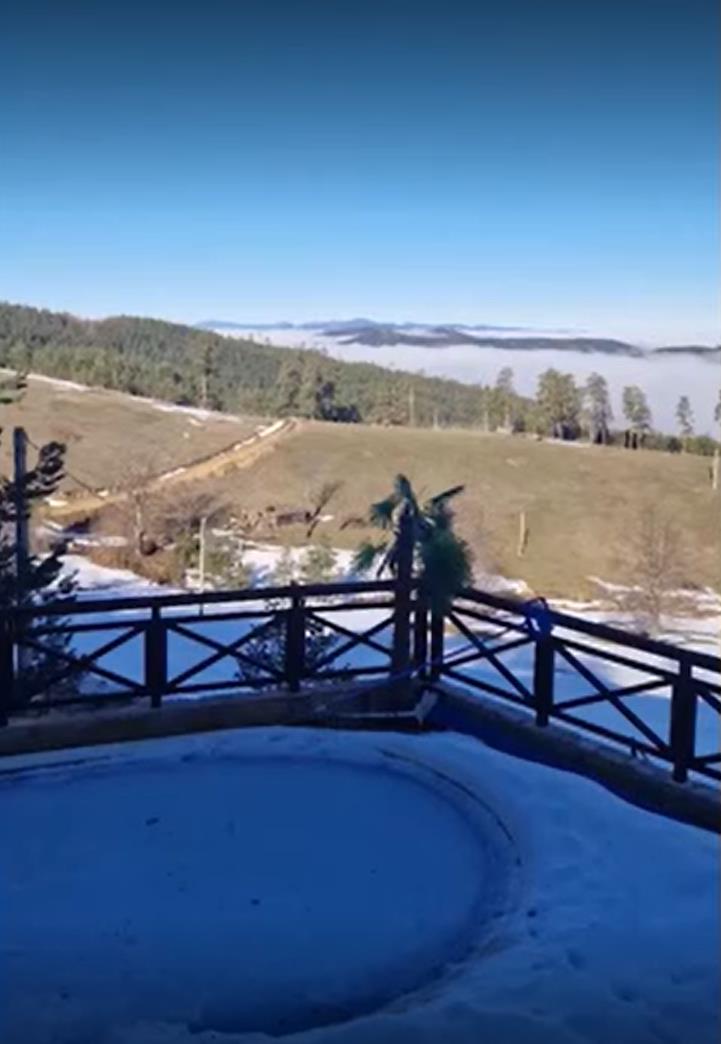 Screenshot 2025-01-25 162808.png