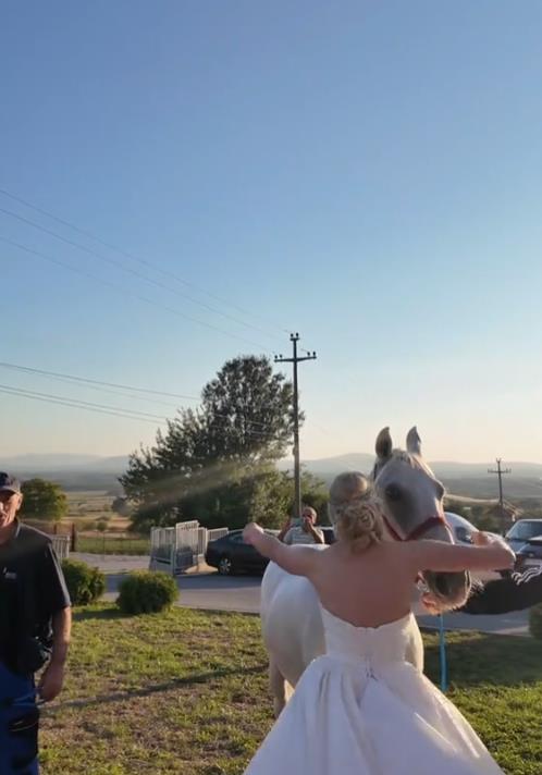 Screenshot 2025-01-26 175242.png