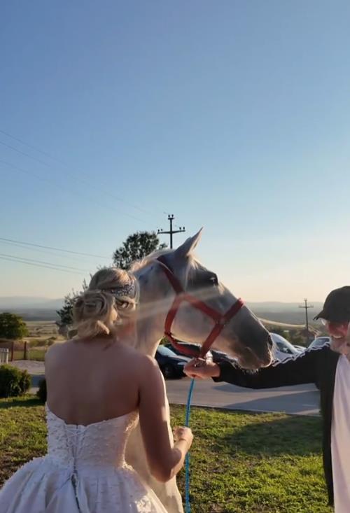 Screenshot 2025-01-26 175247.png